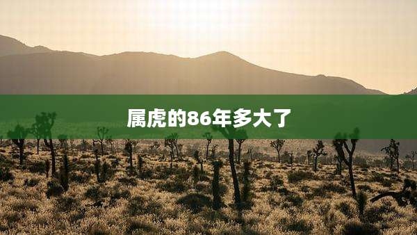 属虎的86年多大了