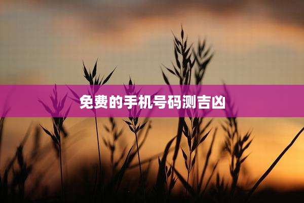 免费的手机号码测吉凶