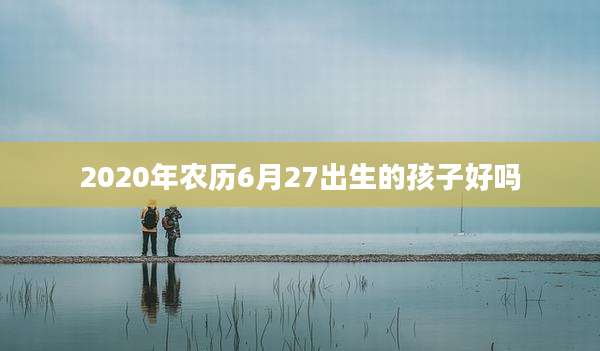 2020年农历6月27出生的孩子好吗