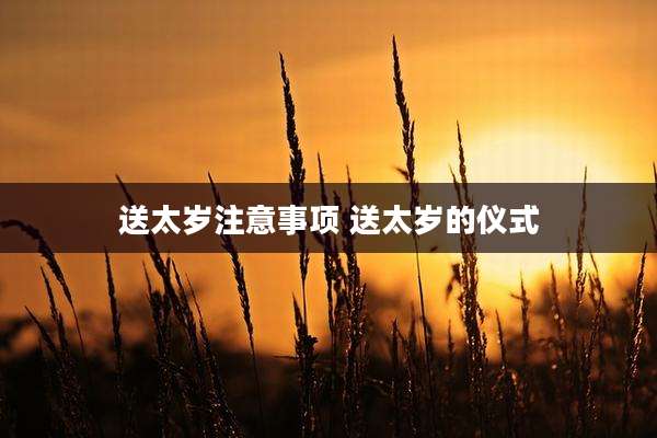 送太岁注意事项 送太岁的仪式