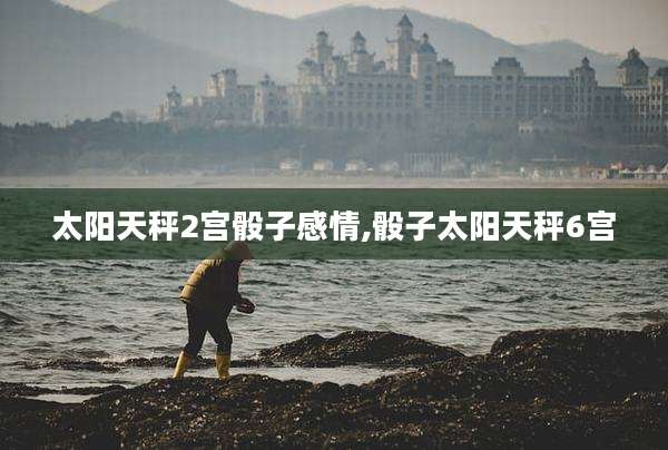 太阳天秤2宫骰子感情,骰子太阳天秤6宫