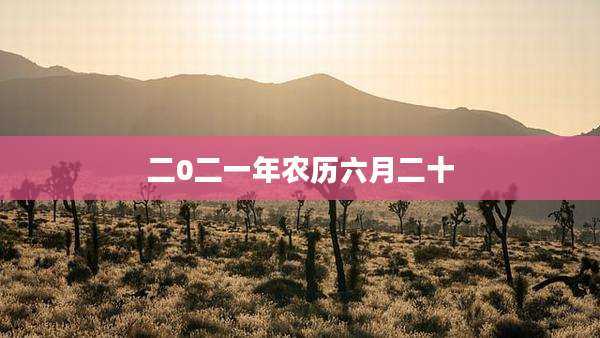 二0二一年农历六月二十
