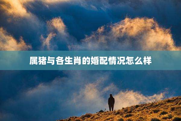 属猪与各生肖的婚配情况怎么样