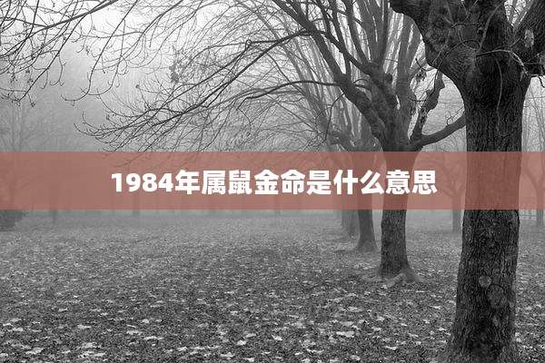 1984年属鼠金命是什么意思