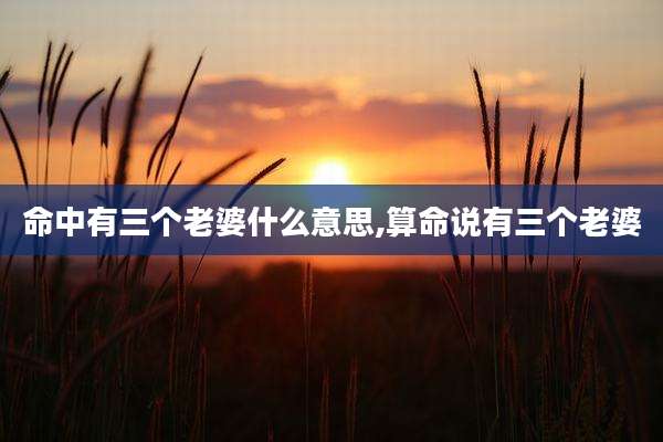 命中有三个老婆什么意思,算命说有三个老婆