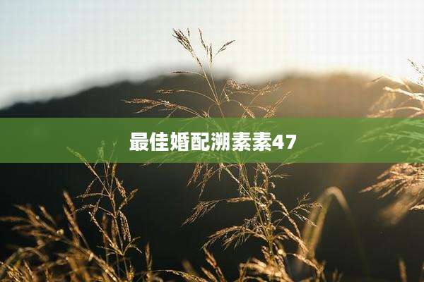 最佳婚配溯素素47