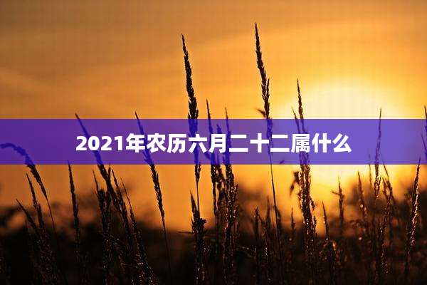 2021年农历六月二十二属什么