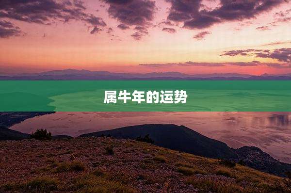 属牛年的运势