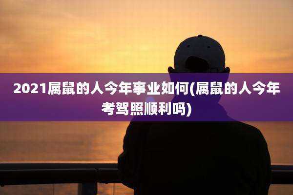 2021属鼠的人今年事业如何(属鼠的人今年考驾照顺利吗)