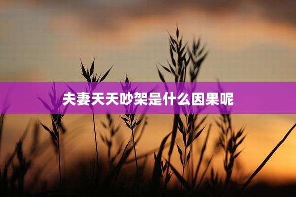 夫妻天天吵架是什么因果呢