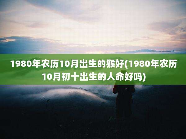 1980年农历10月出生的猴好(1980年农历10月初十出生的人命好吗)