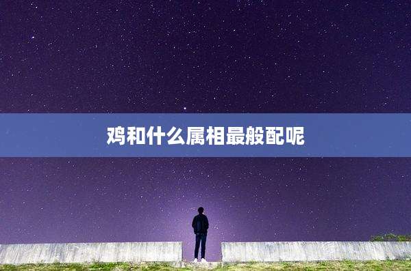 鸡和什么属相最般配呢