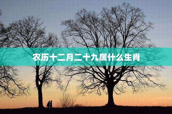 农历十二月二十九属什么生肖