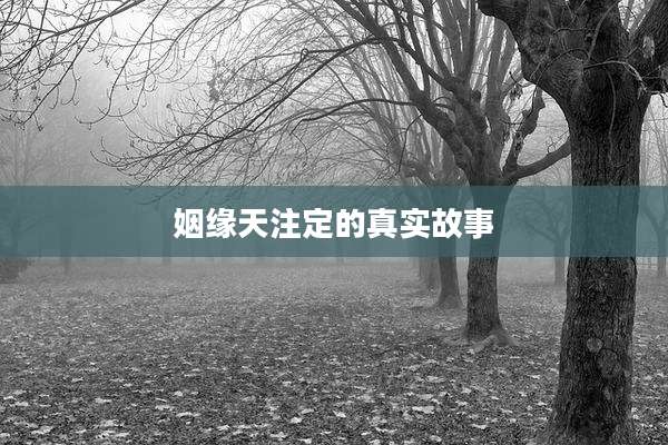 姻缘天注定的真实故事