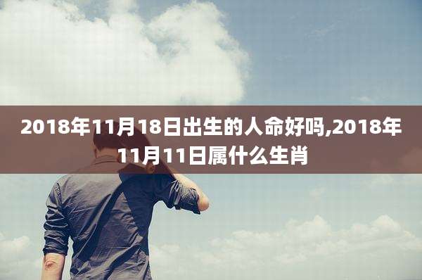 2018年11月18日出生的人命好吗,2018年11月11日属什么生肖