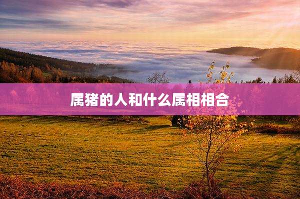 属猪的人和什么属相相合
