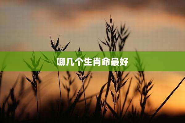 哪几个生肖命最好
