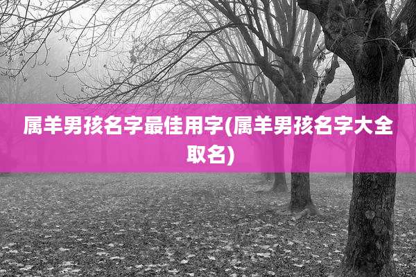 属羊男孩名字最佳用字(属羊男孩名字大全 取名)