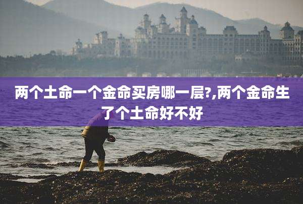 两个土命一个金命买房哪一层?,两个金命生了个土命好不好