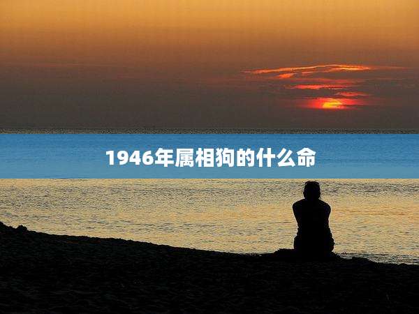1946年属相狗的什么命