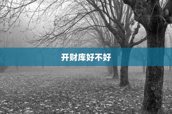 开财库好不好
