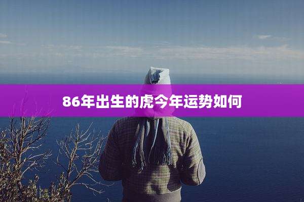 86年出生的虎今年运势如何