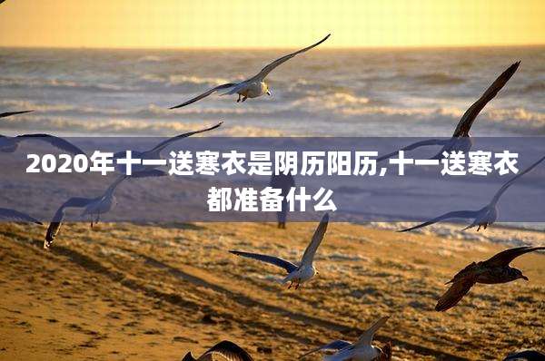 2020年十一送寒衣是阴历阳历,十一送寒衣都准备什么