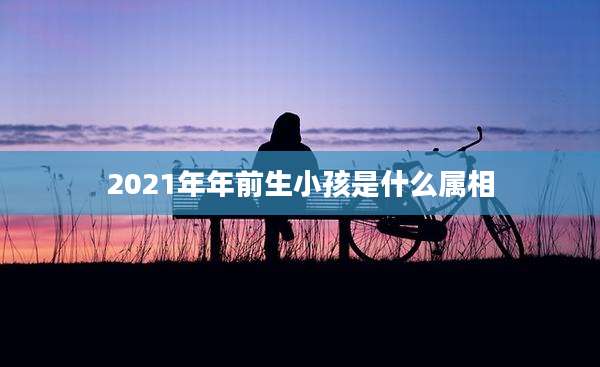 2021年年前生小孩是什么属相