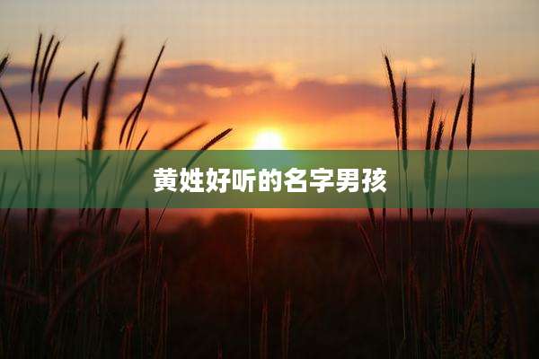 黄姓好听的名字男孩