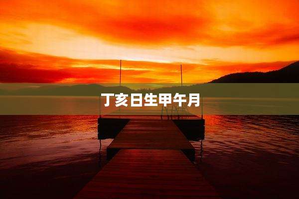 丁亥日生甲午月