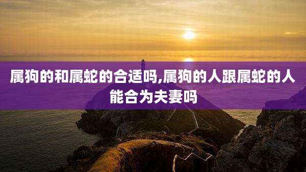 属狗的和属蛇的合适吗,属狗的人跟属蛇的人能合为夫妻吗