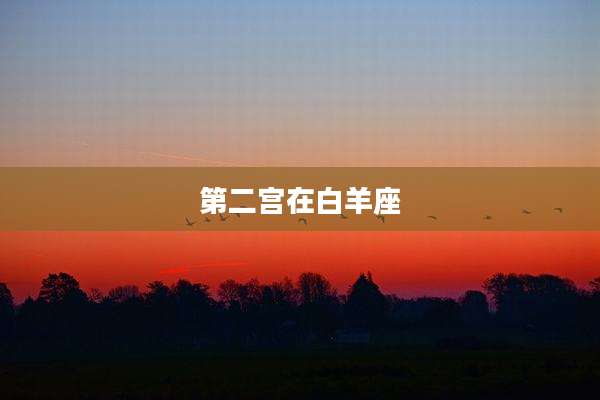 第二宫在白羊座