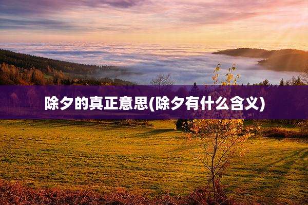 除夕的真正意思(除夕有什么含义)