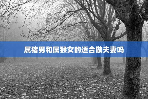 属猪男和属猴女的适合做夫妻吗