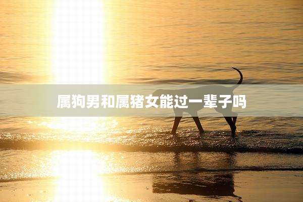 属狗男和属猪女能过一辈子吗