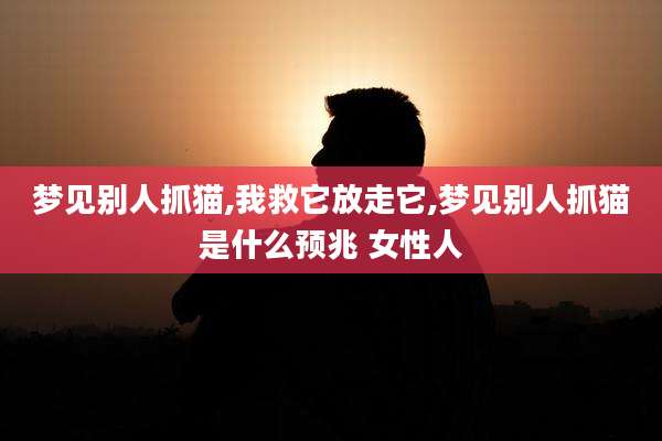 梦见别人抓猫,我救它放走它,梦见别人抓猫是什么预兆 女性人