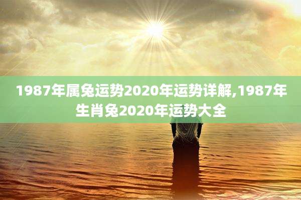 1987年属兔运势2020年运势详解,1987年生肖兔2020年运势大全