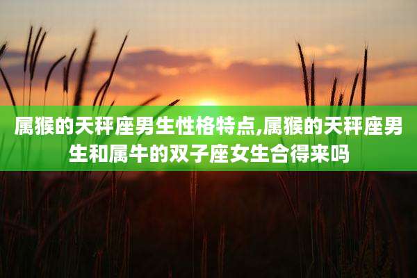 属猴的天秤座男生性格特点,属猴的天秤座男生和属牛的双子座女生合得来吗