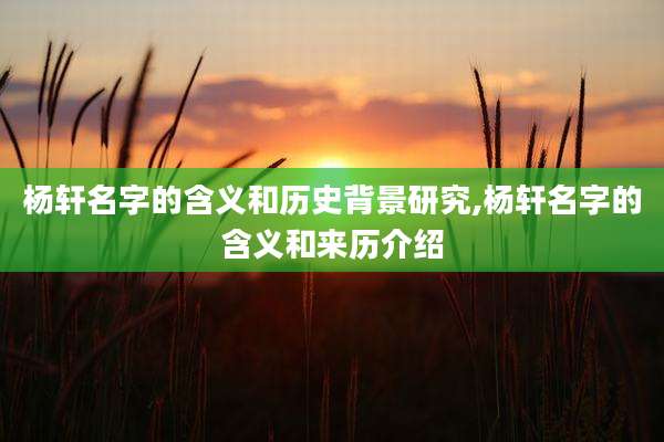 杨轩名字的含义和历史背景研究,杨轩名字的含义和来历介绍