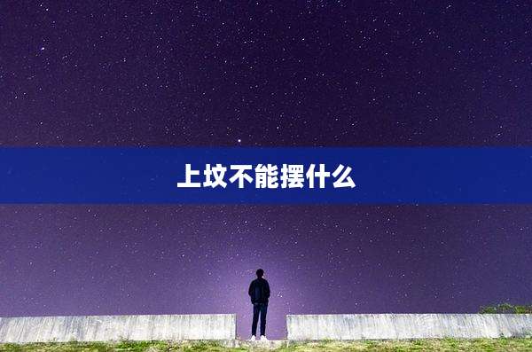 上坟不能摆什么