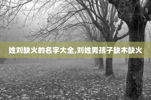 姓刘缺火的名字大全,刘姓男孩子缺木缺火