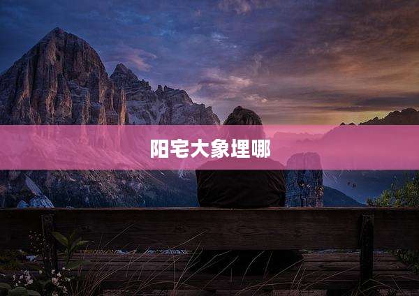 阳宅大象埋哪