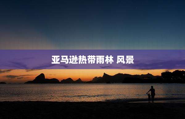 亚马逊热带雨林 风景