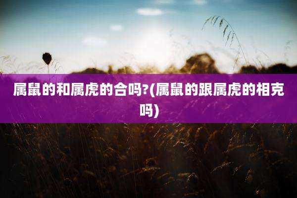 属鼠的和属虎的合吗?(属鼠的跟属虎的相克吗)