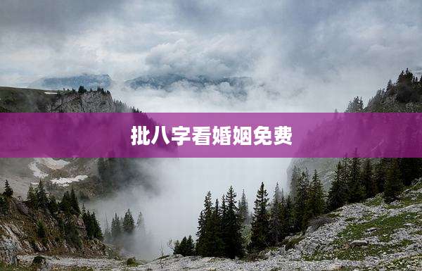 批八字看婚姻免费