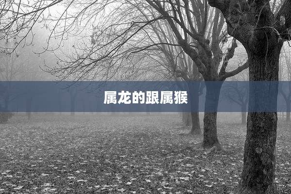 属龙的跟属猴