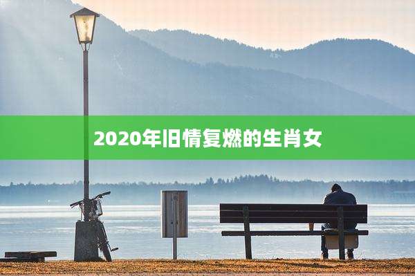 2020年旧情复燃的生肖女
