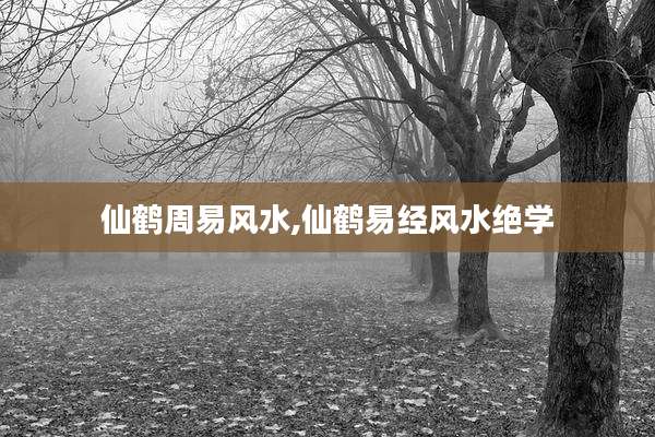 仙鹤周易风水,仙鹤易经风水绝学