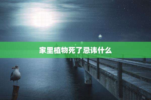 家里植物死了忌讳什么