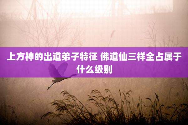 上方神的出道弟子特征 佛道仙三样全占属于什么级别